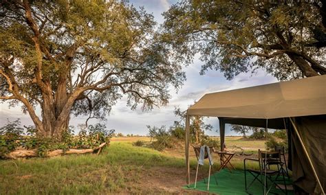 Xaxaba Camp Xaxaba Camp Okavango Delta Botswana Discover Africa