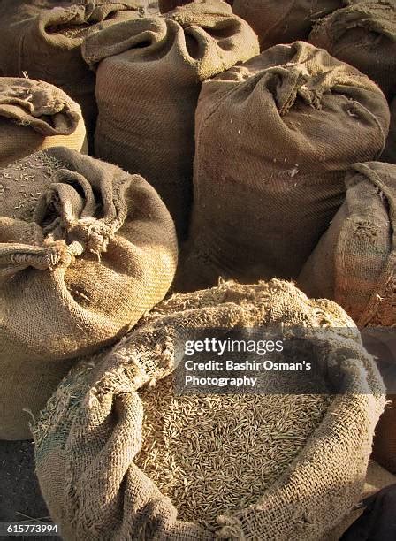 1,433 Rice Harvest Festival Stock Photos, High-Res Pictures, and Images ...