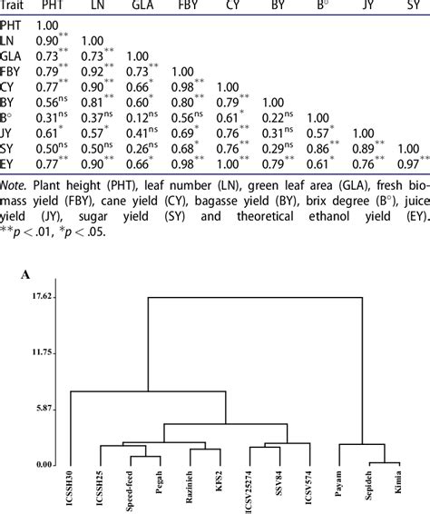 Phenotypic Correlation Coefficient Of Different Agro Morphological