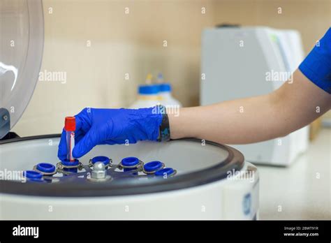 Scientist Putting Test Tube Into Centrifuge Gloved Lab Assistant Puts A