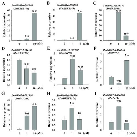 A I Expression Of Genes Involved In Drought Stress Response By Download Scientific Diagram