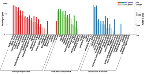 Gene Ontologygo Analysis Of Differential Expressed Genes Degs From Download Scientific