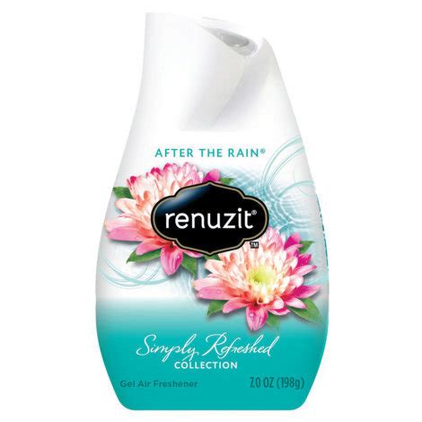 Renuzit Air Fresheners reviews in Home Fragrance - ChickAdvisor