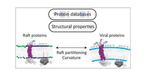 Structural Modifications Controlling Membrane Raft Partitioning And