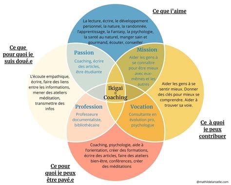 Faire son Ikigai le guide pratique exemple schéma Ikigai