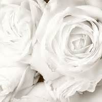 Bouquet De Fleurs Blanches Signification L Atelier Des Fleurs