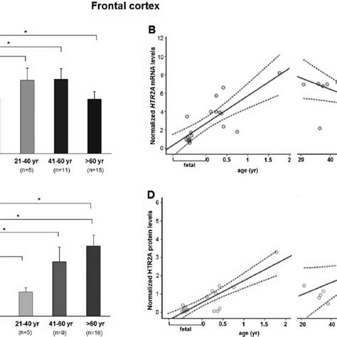 Developmental Regulation Of Htr A Mrna And Protein Expression In