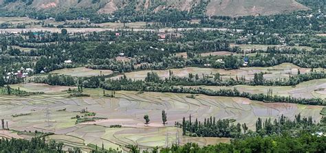 Farming Land Of Jammu And Kashmir India Stock Photo - Download Image ...