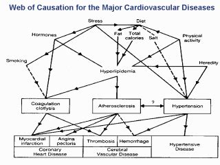 Web Of Causation For The Major Cardiovascular Diseases Source