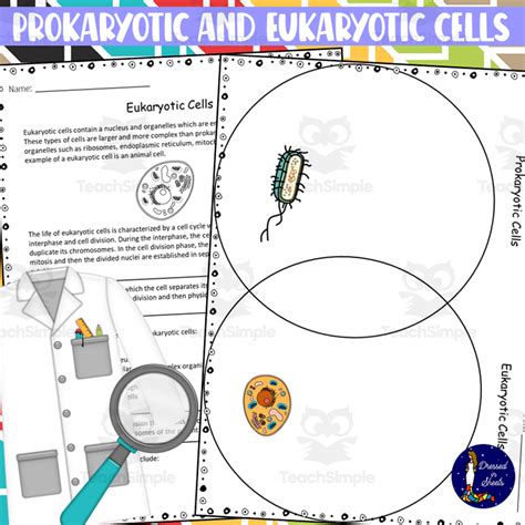 Prokaryotic And Eukaryotic Cells Worksheets By Teach Simple