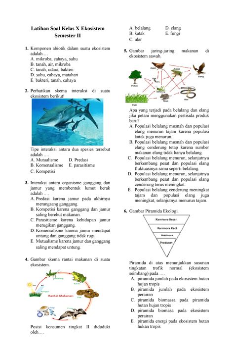 Ekosistem 2 Latihan Soal Kelas X Ekosistem Semester Ii Komponen