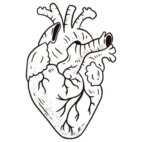 Awesome Anatomical Heart Png And Svg Design For T Shirts