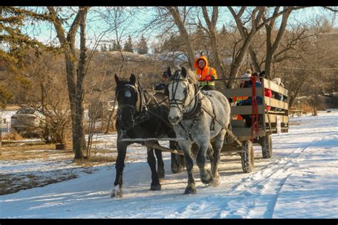 Wagon Rides Take Place In Wakamow Valley MooseJawToday