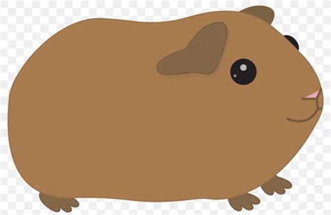 Animated Guinea Pig Clipart 10 Free Cliparts Download Images On