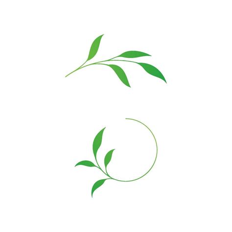 Olive leaf vector illustration design 13059867 Vector Art at Vecteezy