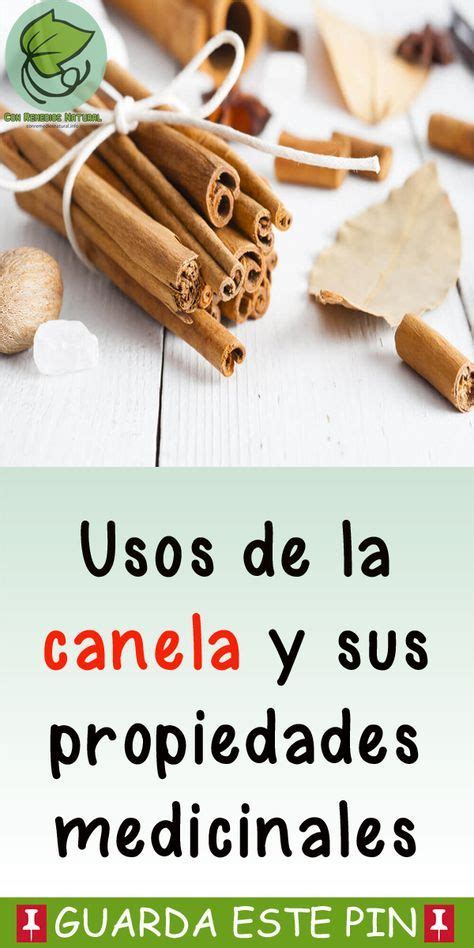 Canela Y Sus Propiedades Curativas