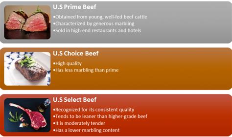 The Best Grades Of Meat As Per Usda Beef Grading System