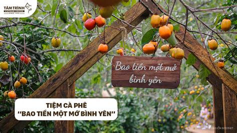 Mùa Hồng Chín Đà Lạt Vào Tháng Mấy? Top Những Vườn Hồng Đẹp Tại Đà Lạt ...