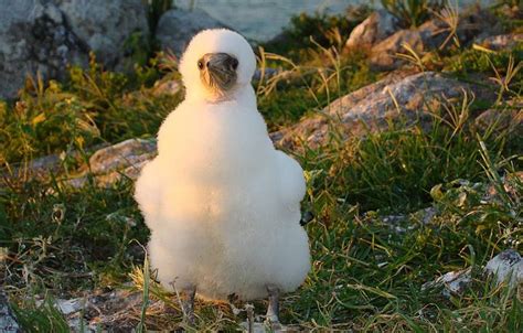 Parque Nacional Marinho Dos Abrolhos Ch O Nosso Viagens Culturais