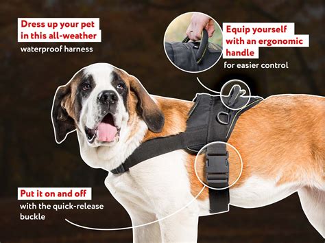 Nylon Practical Harness For Trackingpulling Mastiff Harness Mastiff