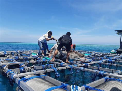 Penyuluhan Perikanan Kapanewon Samigaluh