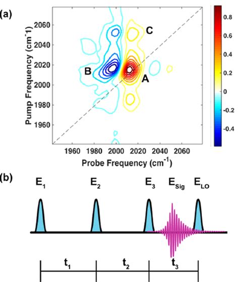 Figure 1 From Spatially Resolved Two Dimensional Infrared Spectroscopy Via Wide Field Microscopy