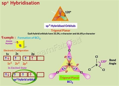 Hybridization of Molecular Orbitals | Class 11 Ch.4 Chemical bonding ...