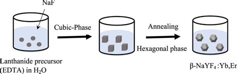 Schematic Illustration Of Coprecipitation Synthesis Method Of