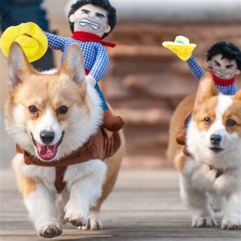 21 Best Dog Costumes For Halloween 2021 Cute Pet Costumes