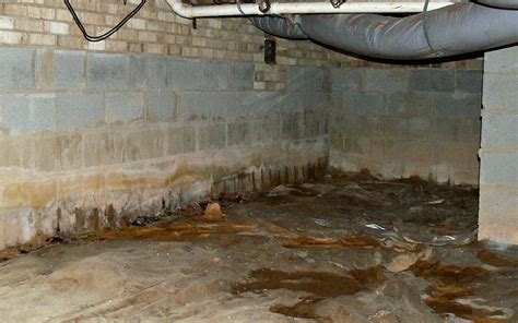 Excess Moisture In A Crawl Space Atlantic Foundation Crawl Space