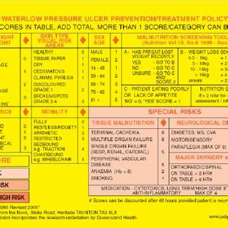 Waterlow Risk Assessment Chart