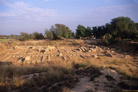 Great Granary In Mound F Harappa Harappa