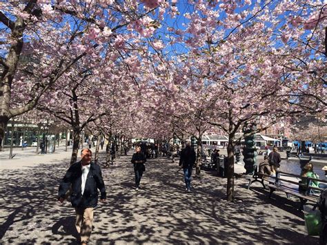 Seasons In Sweden Weather And Climate