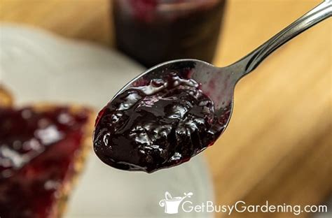 Homemade Grape Jelly Recipe (Quick & Easy!)