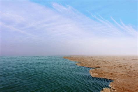 The Yellow River Estuary Ecological Scenic Area Shandong Province