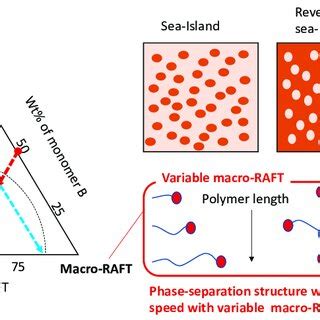 Schematic Showing The Control Of Phase Separated Structures By Varying