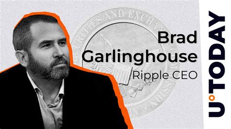 Ripple Ceo Slams Secs Hypocrisy Amid U Turn In Binance Case