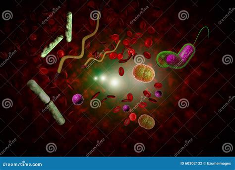 Bacteria Infection Bloodstream Stock Illustration Illustration Of