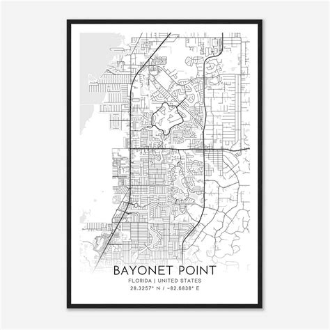 Custom Bayonet Point United States Map Poster - Mapmory