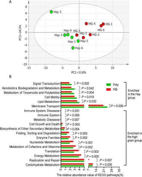 Functional Diversity Of The Bacterial Microbiota Of Colonic Mucosa