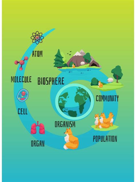 Explain the Ecological Hierarchy. Explain its Characteristics - Aakash Blog