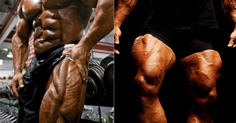 15 Best Quad Exercises Of All Time Fitness Volt