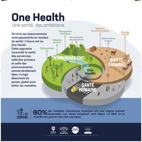 Une Expo Pour Comprendre Le Concept One Health Sant Environnement