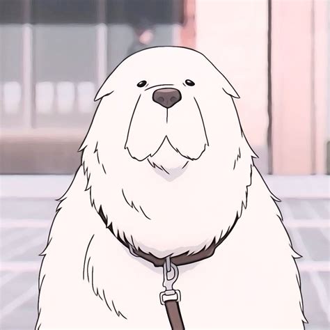 ఇ ¦ 𝐁𝐨𝐧𝐝 𝐅𝐨𝐫𝐠𝐞𝐫 ¦ SPY X FAMILY | Recent anime, Anime, White dogs