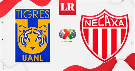 Tigres Vs Necaxa Resumen Y Goles De La Victoria De Tigres Por La Liga