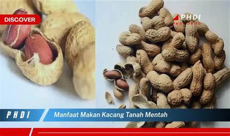 Temukan 7 Manfaat Kacang Almond Untuk Pria Yang Wajib Kamu Intip