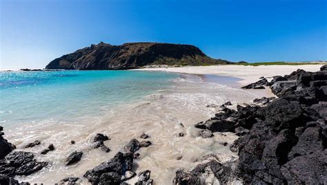 10 Best Islands In The Galapagos To Visit In 2023