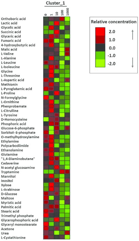 Heat Map Representation Of The Metabolites In The E Coli Cells That