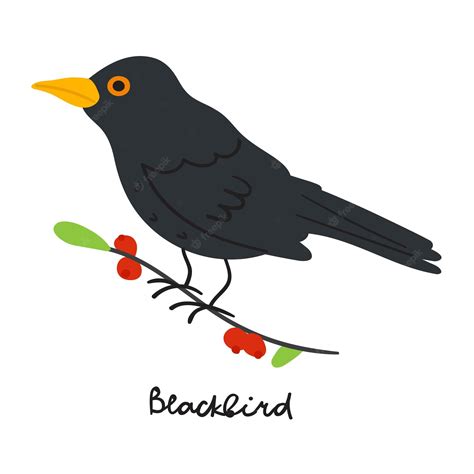 Bird Clip Art Male Red Winged Blackbird Agelaius Phoeniceus Color