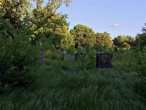 The Forgotten Past of New Jersey: Woodland Cemetery